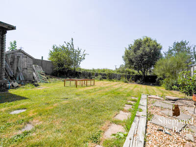 Picture 22